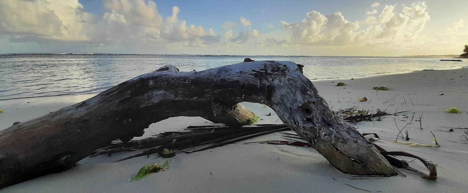 Location de vacances en bord de mer Guadeloupe